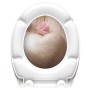 SCHÜTTE Asiento de WC duroplast con cierre suave estampado ROMANTIC by , Toilet and bidet seats - Ref: Foro24-435104, Price: ...