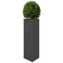 Jardineras triangulares 2 uds acero negro 30x26x75 cm von , Töpfe und Pflanzgefäße - Ref: Foro24-851144, Preis: 77,97 €, Raba...