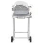 Barbacoa portátil de gas con 2 zonas plateada acero inoxidable von , Grillen - Ref: Foro24-276149, Preis: 152,22 €, Rabatt: %