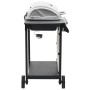 Barbacoa portátil de gas con 6 zonas plateada acero inoxidable von , Grillen - Ref: Foro24-276154, Preis: 319,67 €, Rabatt: -5%%
