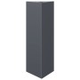 Jardinera triangular acero gris antracita 30x26x75 cm von , Töpfe und Pflanzgefäße - Ref: Foro24-851147, Preis: 58,56 €, Raba...