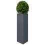 Jardinera triangular acero gris antracita 30x26x75 cm von , Töpfe und Pflanzgefäße - Ref: Foro24-851147, Preis: 58,56 €, Raba...