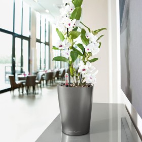 LECHUZA Maceta DELTINI ALL-IN-ONE carbón metálico de , Maceteros y jardineras - Ref: Foro24-443316, Precio: 21,77 €, Descuent...