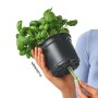 LECHUZA Jardinera de mesa OJO ALL-IN-ONE verde agua von , Töpfe und Pflanzgefäße - Ref: Foro24-427372, Preis: 23,05 €, Rabatt: %