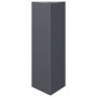 Jardineras 2 uds acero gris antracita 30x26x75 cm von , Töpfe und Pflanzgefäße - Ref: Foro24-851148, Preis: 82,69 €, Rabatt: %