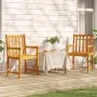 Gartenstühle 2 Einheiten aus massivem Akazienholz von vidaXL, Gartenstühle - Ref: Foro24-316609, Preis: 181,05 €, Rabatt: %