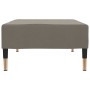 Taburete de terciopelo gris claro 78x56x32 cm by vidaXL, Ottomans - Ref: Foro24-337698, Price: 52,02 €, Discount: %