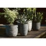 Capi Macetero Nature Rib gris antracita 35x34 cm KOFZ932 de , Maceteros y jardineras - Ref: Foro24-424242, Precio: 62,65 €, D...