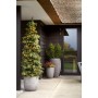 Capi Macetero Nature Rib gris antracita 35x34 cm KOFZ932 de , Maceteros y jardineras - Ref: Foro24-424242, Precio: 62,65 €, D...