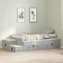 Storage Bed Structure Concrete Gray 80x200 cm by , Beds and slatted bases - Ref: Foro24-3335576, Price: 258,23 €, Discount: %