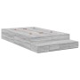 Estructura de Cama de Almacenamiento Gris Sonoma 120x190 cm by , Beds and slatted bases - Ref: Foro24-3335690, Price: 423,78 ...