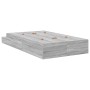 Estructura de Cama de Almacenamiento Gris Sonoma 120x190 cm by , Beds and slatted bases - Ref: Foro24-3335690, Price: 423,78 ...