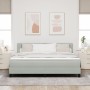 Cama Box Spring  con colchón y luz LED Gris Claro 180x200 cm Aterciopelado | Foro24.es | Tu tienda online para hogar, jardín y más Foro24.es