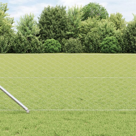 Cerca Hexagonal 0.6x100 m Acero Galvanizado, Postes de Cerca con Punta 13 pcs Ø32 mm 80 cm Acero Galvanizado by , fence posts...