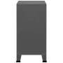 Industrial storage trunk in anthracite steel 75x40x80 cm by vidaXL, Storage trunks - Ref: Foro24-339627, Price: 129,14 €, Dis...