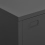 Anthracite metal industrial storage trunk 75x40x115 cm by vidaXL, Storage trunks - Ref: Foro24-339630, Price: 158,55 €, Disco...