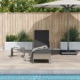 Tumbona Gris y gris oscuro Ratán PE 157 x 55 x 92 cm Tumbona de , Tumbonas - Ref: Foro24-365427, Precio: 124,17 €
