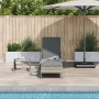 Tumbona Gris claro Ratán PE 157 x 55 x 92 cm Plegable Tumbona de , Tumbonas - Ref: Foro24-365430, Precio: 132,87 €