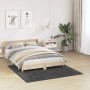 Alfombra Shaggy de  con respaldo de látex Gris oscuro 160x160 cm | Foro24.es | Tu tienda online para hogar, jardín y más Foro24.es