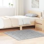 Alfombra Shaggy con Base de Látex Gris 120x120 cm von , Teppiche - Ref: Foro24-4019776, Preis: 38,59 €, Rabatt: %