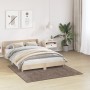 alfombra peluda de alta pila marrón 160x160 cm PP von , Teppiche - Ref: Foro24-4019794, Preis: 65,70 €, Rabatt: %