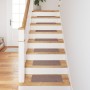 Alfombrillas de Escalera  con Respaldo de Látex Marrón Claro 25x60 cm | Foro24.es | Tu tienda online para hogar, jardín y más Foro24.es