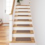 Alfombrillas para Escalera  con Respaldos de Latex Marrón 25x60 cm | Foro24.es | Tu tienda online para hogar, jardín y más Foro24.es