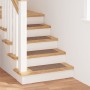 Alfombrillas para Escalera  con Respaldos de Latex Marrón 25x60 cm | Foro24.es | Tu tienda online para hogar, jardín y más Foro24.es