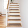 Alfombrillas para Escaleras  con Respaldo de Látex Marrón 20x75 cm | Foro24.es | Tu tienda online para hogar, jardín y más Foro24.es