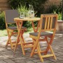 Conjunto Bistro Plegable de 3 Piezas con Cojines de Madera Maciza de Acacia | Foro24.es | Tu tienda online para hogar, jardín y más Foro24.es