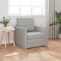 Sofá Cama 2-en-1 Gris Nube 74x77x81 cm Tela