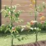Soportes de Plantas en Espiral 5 pcs 170 cm de Acero | Foro24.es | Tu tienda online para hogar, jardín y más Foro24.es