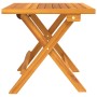 Juego de Tumbona de 3 Piezas con Mesa Lateral de Madera Maciza de Acacia | Foro24.es | Tu tienda online para hogar, jardín y más Foro24.es