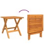 Juego de Tumbona de 3 Piezas con Mesa Lateral de Madera Maciza de Acacia | Foro24.es | Tu tienda online para hogar, jardín y más Foro24.es