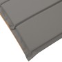 Tumbonas  con cojines 2 pcs Gris oscuro Madera maciza de Acacia | Foro24.es | Tu tienda online para hogar, jardín y más Foro24.es