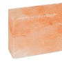 10 piedras de sal 20x10x5 cm 23 kg rosas | Foro24.es | Tu tienda online para hogar, jardín y más Foro24.es