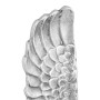 Alas Plateadas 91x31x5 cm Aluminio | Foro24.es | Tu tienda online para hogar, jardín y más Foro24.es