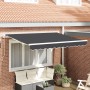 Toldo de Repuesto para Estructura de 3.5x2 m Antracita | Foro24.es | Tu tienda online para hogar, jardín y más Foro24.es