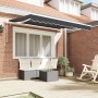 Toldo de Repuesto para Estructura de 3.5x2 m Antracita | Foro24.es | Tu tienda online para hogar, jardín y más Foro24.es
