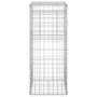 Cestas postes de gaviones 2 unidades hierro 40x40x100 cm de vidaXL, Postes de cerca - Ref: Foro24-151261, Precio: 44,36 €, De...