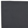 Valance de Toldo para Estructura de 2.5 m Antracita 2.3x0.2 m von , Markisen - Ref: Foro24-42000687, Preis: 11,05 €, Rabatt: %