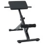 Banca de Hiperextensión 120 kg Plegable y Ajustable de Acero von , Stangen für Liegestütze und Klimmzüge - Ref: Foro24-420025...