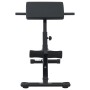 Banca de Hiperextensión 120 kg Plegable y Ajustable de Acero von , Stangen für Liegestütze und Klimmzüge - Ref: Foro24-420025...