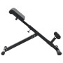 Banca de Hiperextensión 120 kg Plegable y Ajustable de Acero von , Stangen für Liegestütze und Klimmzüge - Ref: Foro24-420025...