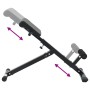 Banca de Hiperextensión 120 kg Plegable y Ajustable de Acero von , Stangen für Liegestütze und Klimmzüge - Ref: Foro24-420025...