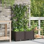 Macetero con trellis 2 pcs Marrón 80x40x143 cm von , Töpfe und Pflanzgefäße - Ref: Foro24-42002815, Preis: 74,09 €, Rabatt: %