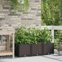 Jardineras  con sistema de riego 3 pcs Marrón | Foro24.es | Tu tienda online para hogar, jardín y más Foro24.es