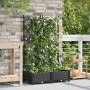 Macetero de Jardín con Rejilla 2 pcs Negro 80x40x125.5 cm by , Pots and planters - Ref: Foro24-42002837, Price: 54,80 €, Disc...