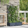 Macetero con Enrejado 2 pcs Gris 80x40x125.5 cm von , Töpfe und Pflanzgefäße - Ref: Foro24-42002860, Preis: 54,80 €, Rabatt: %