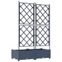 Macetero con Enrejado 2 pcs Gris 80x40x125.5 cm von , Töpfe und Pflanzgefäße - Ref: Foro24-42002860, Preis: 54,80 €, Rabatt: %